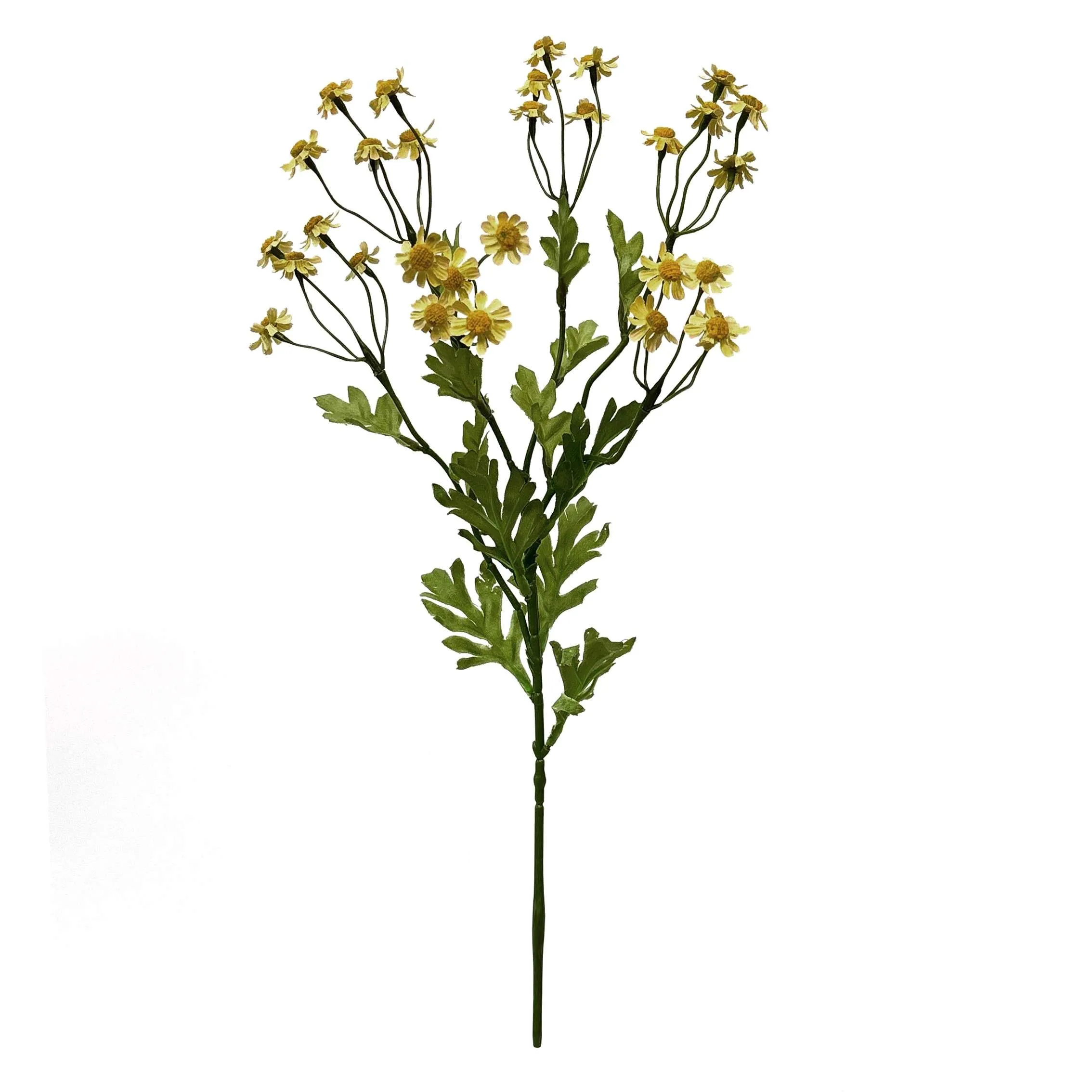 Une seule petite marguerite