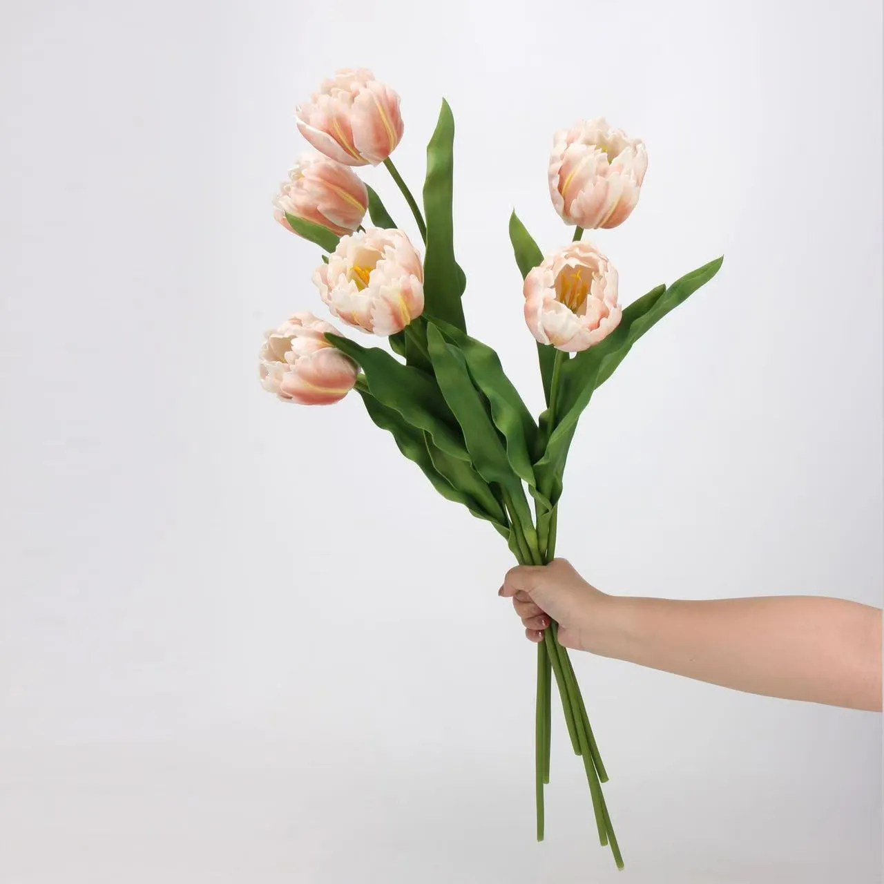 tulip rococo