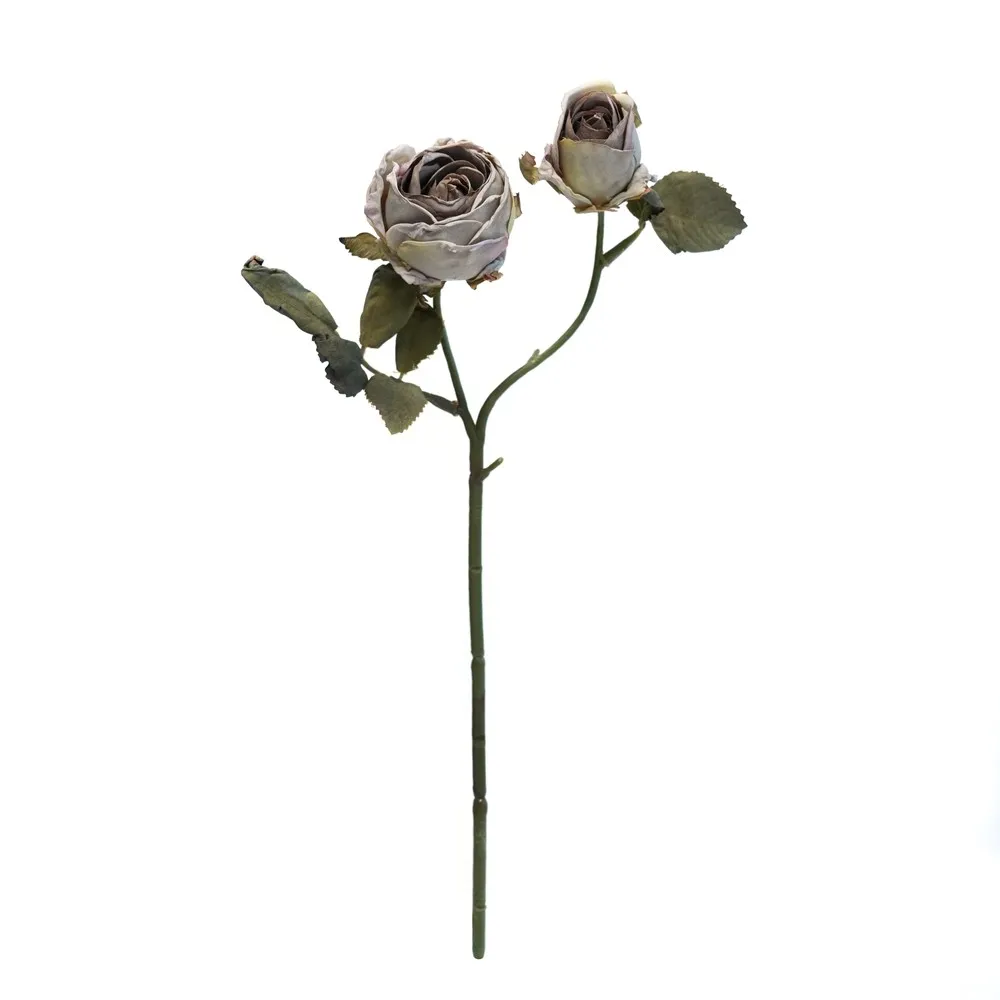 2 têtes de Vénus