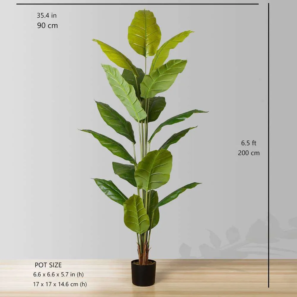 Plante en pot à feuilles spathiphiphyllum artificielles (plusieurs tailles)