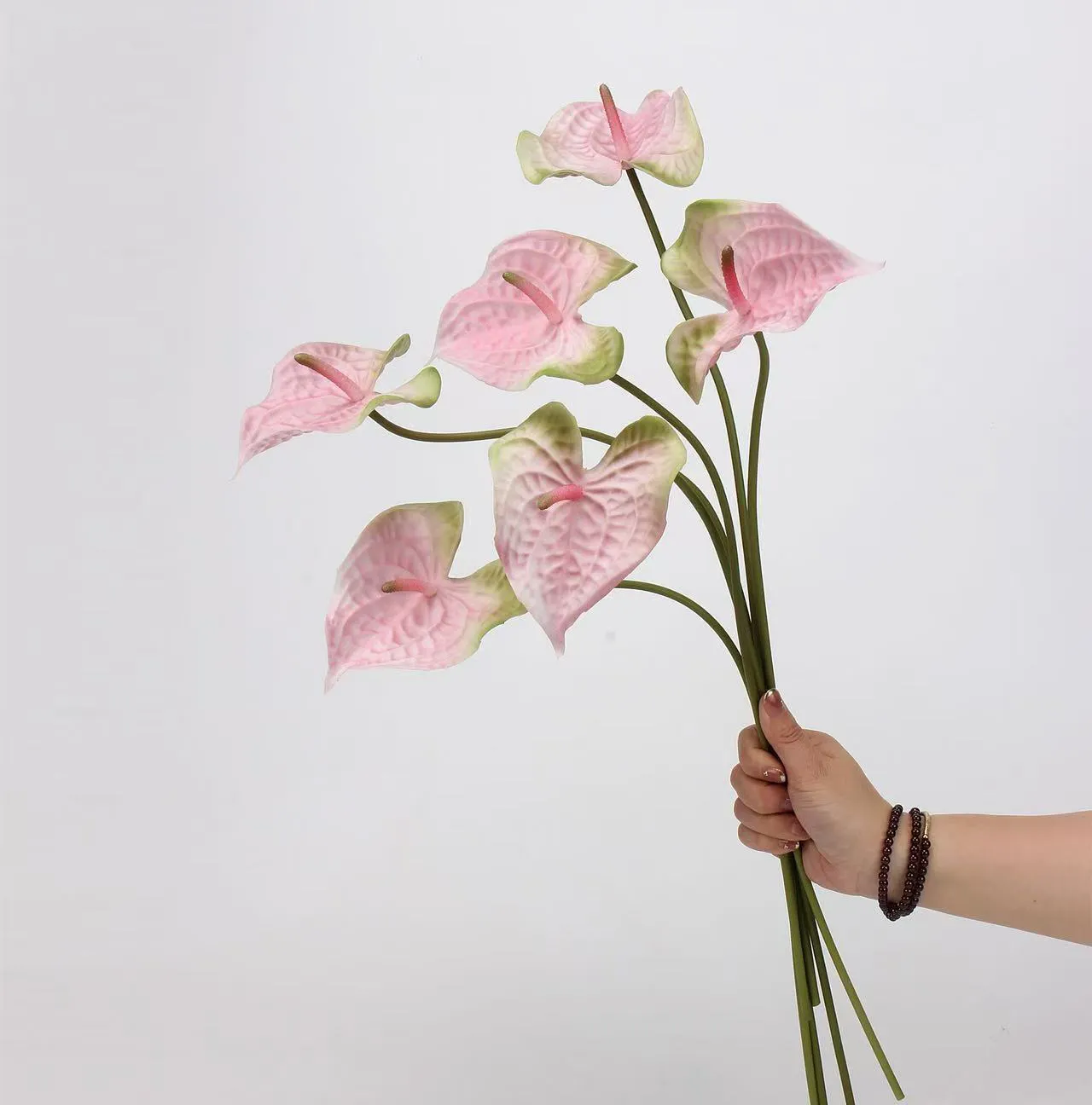 anthurium paume