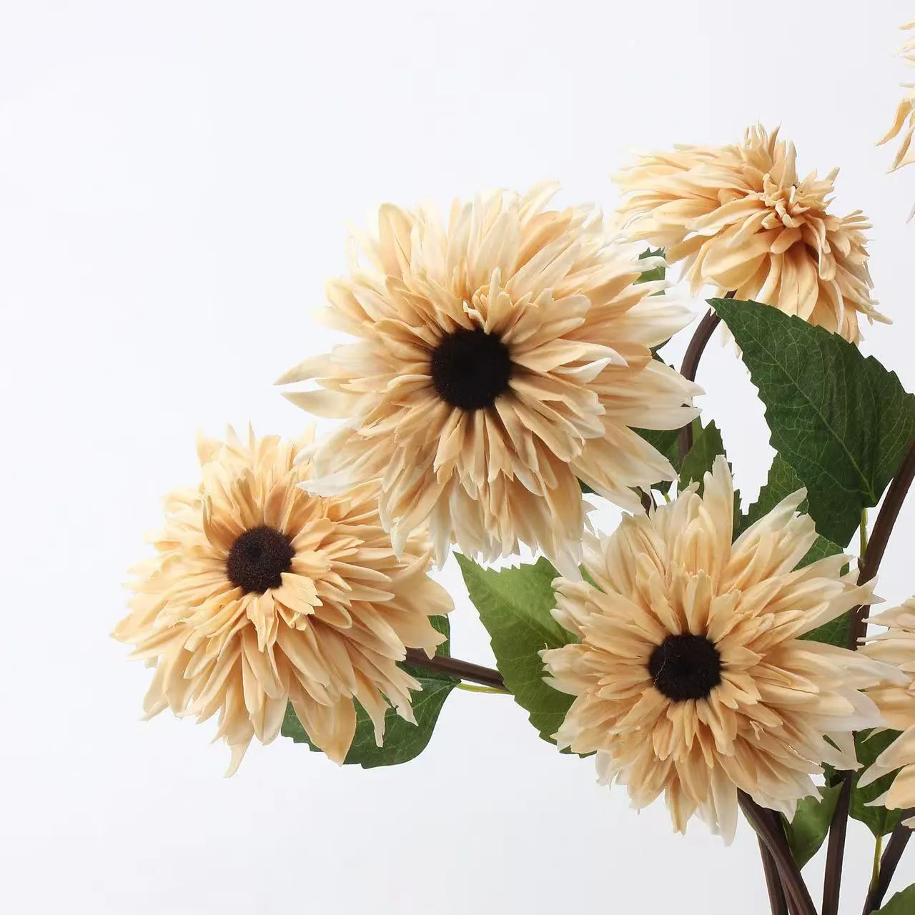 peinture à l'huile de tournesols