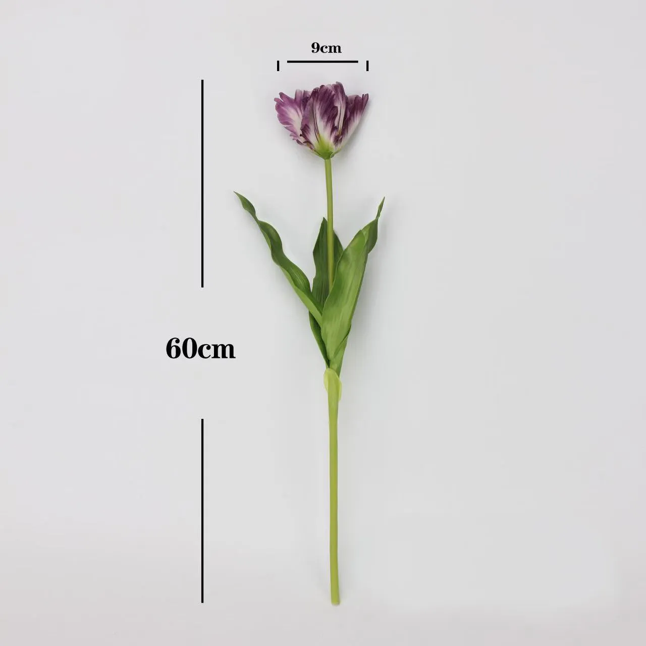 Monet tulip