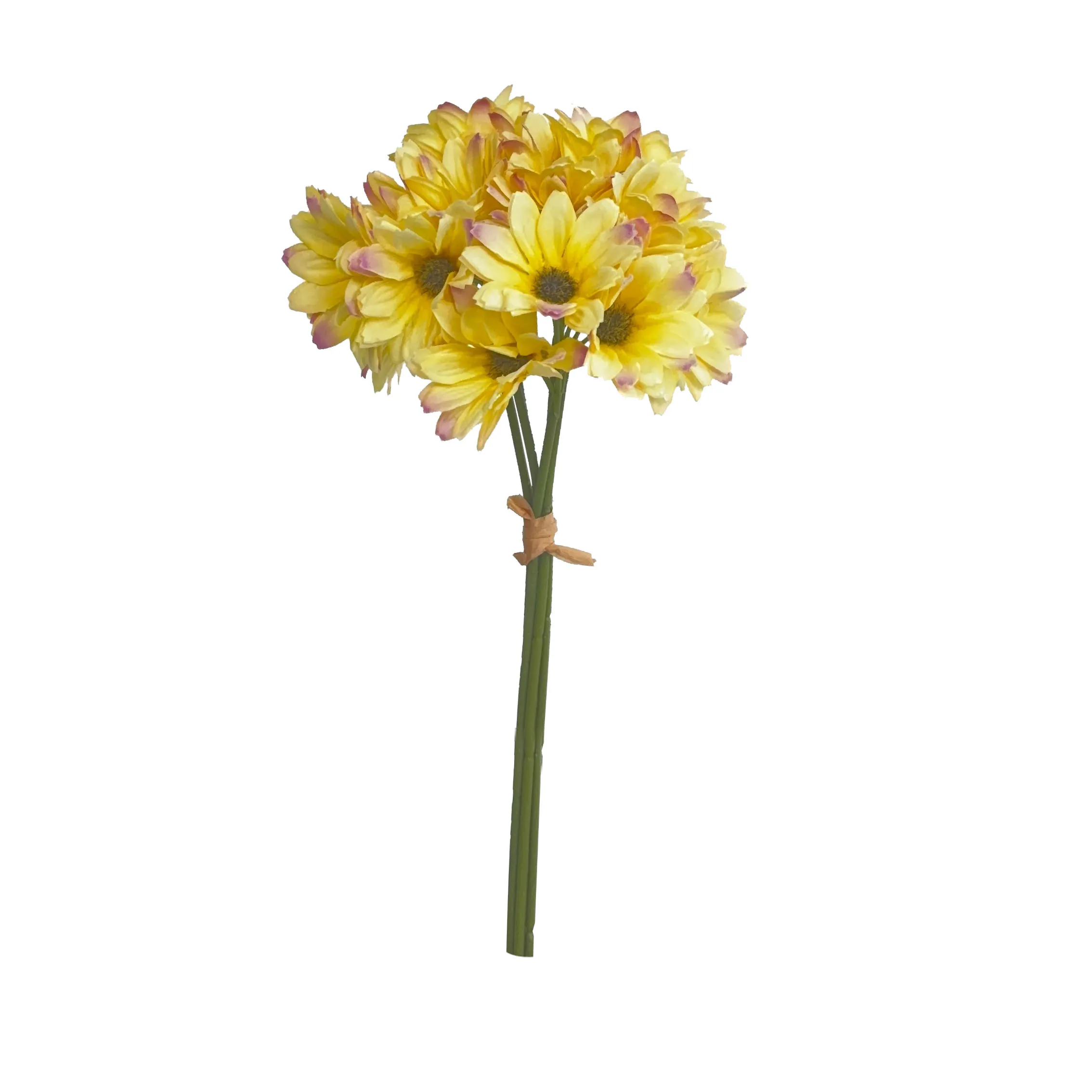 Prendre un tas de tournesols