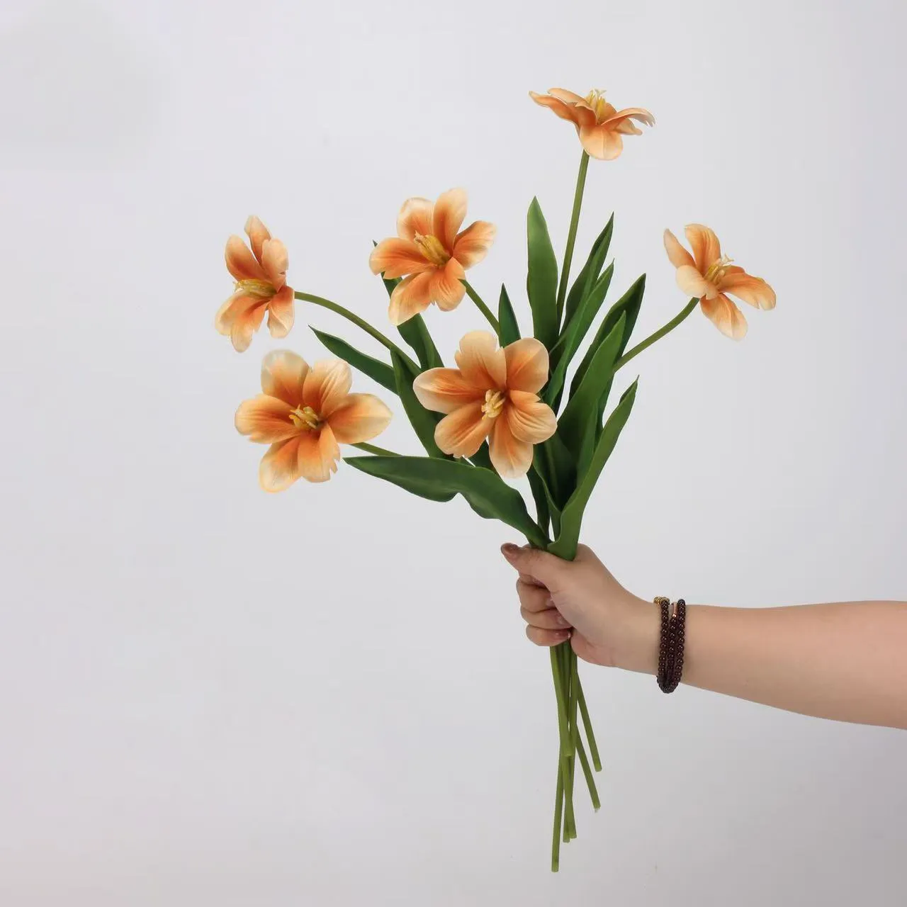Brownie tulip