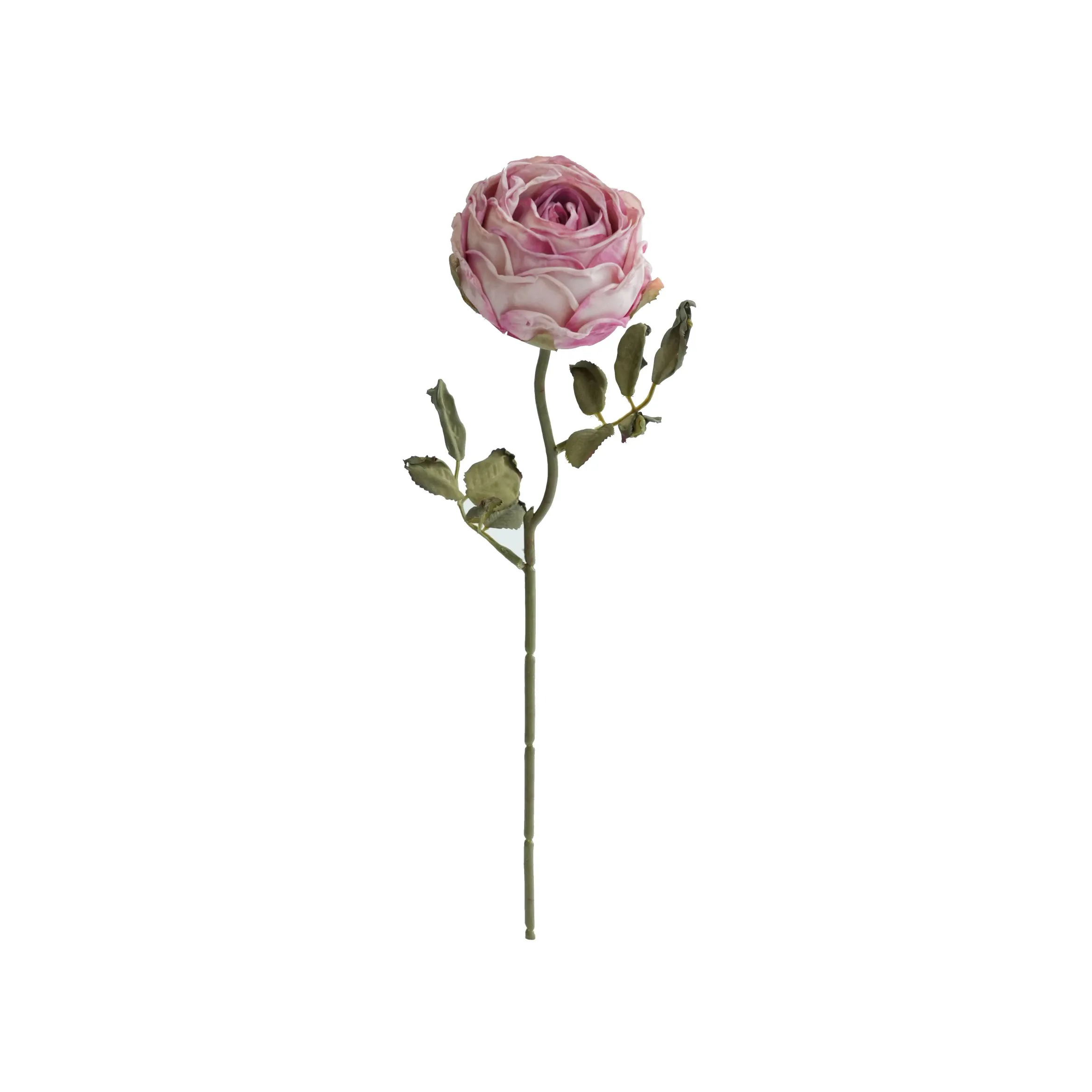 Roses rondes hachées