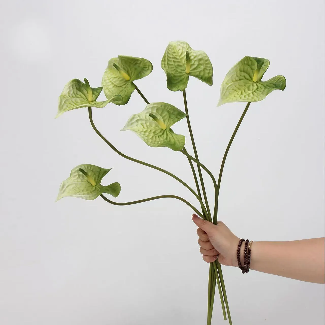 anthurium paume