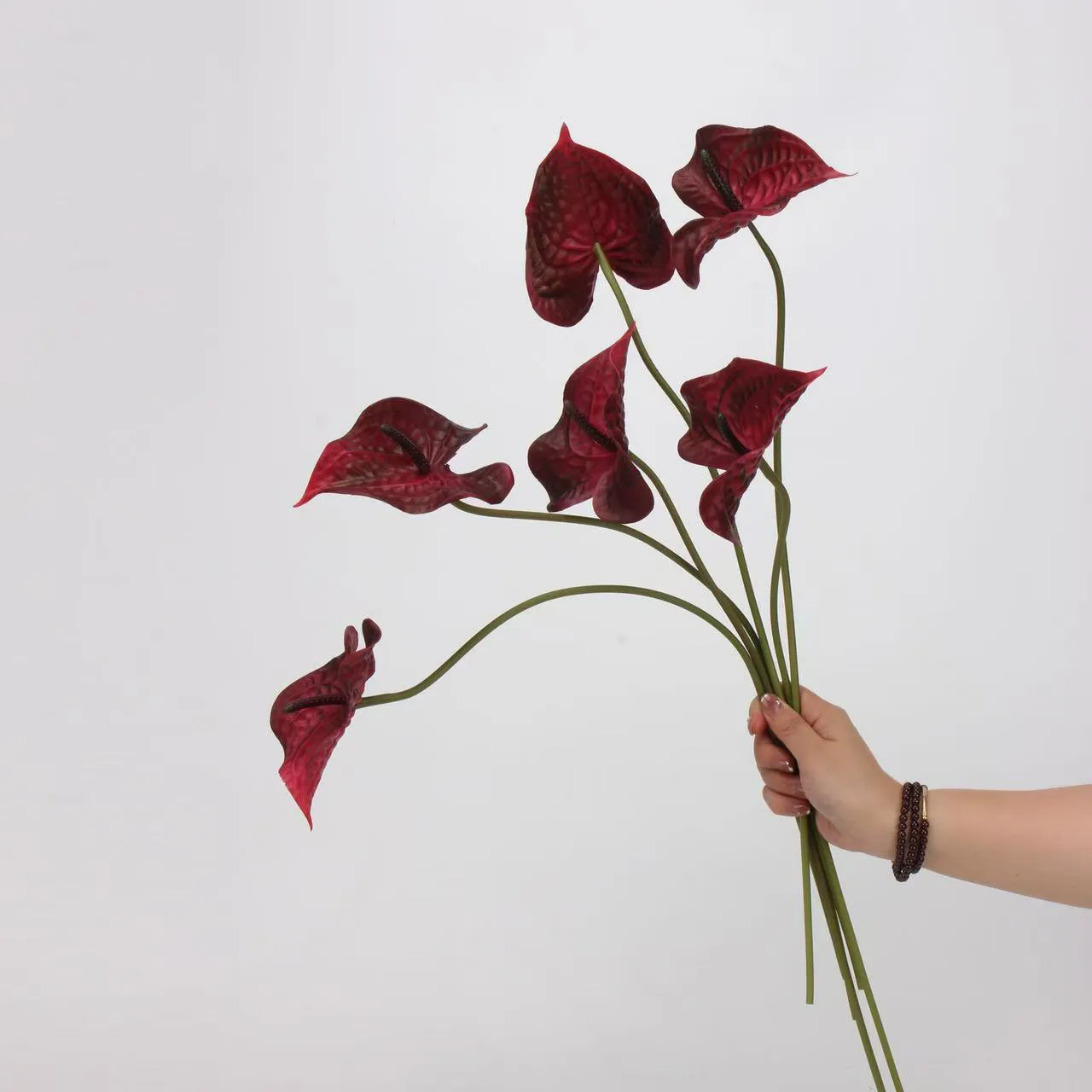 anthurium paume