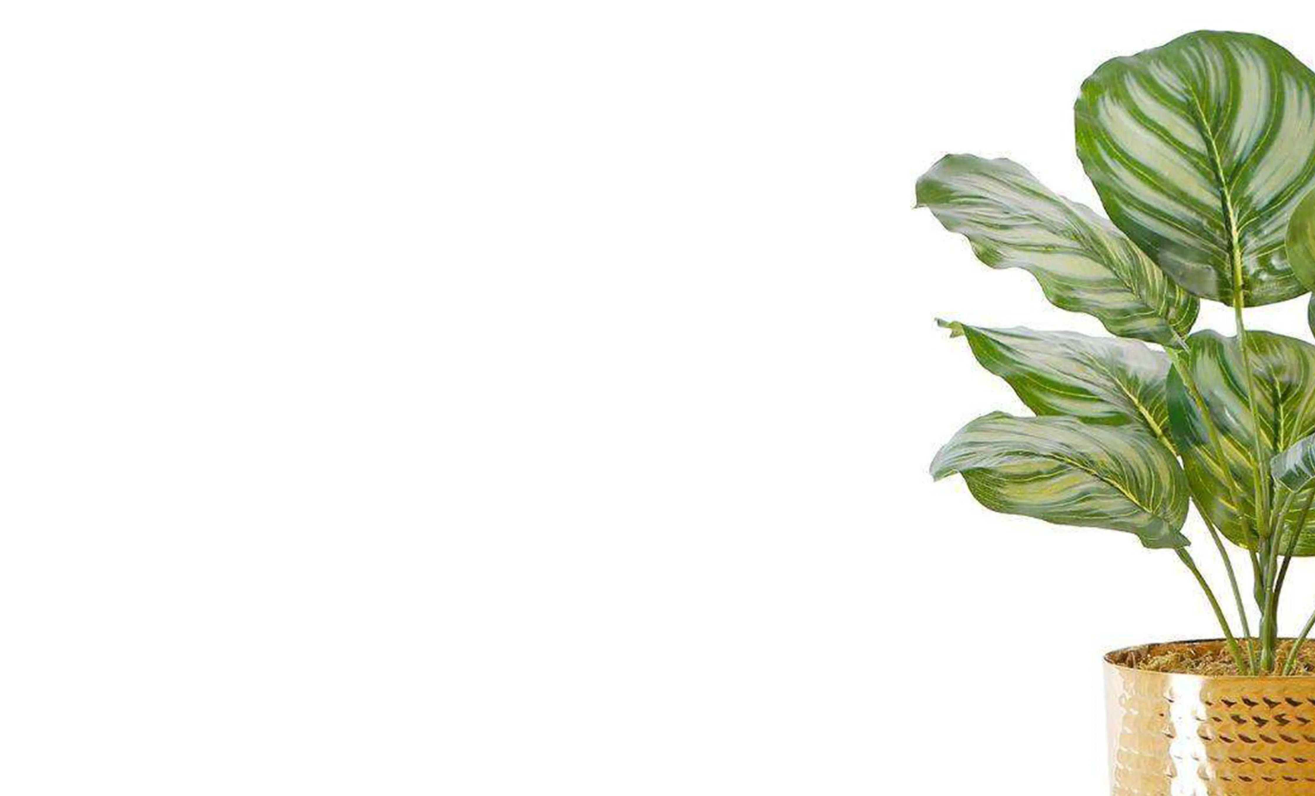 Plante verte artificielle