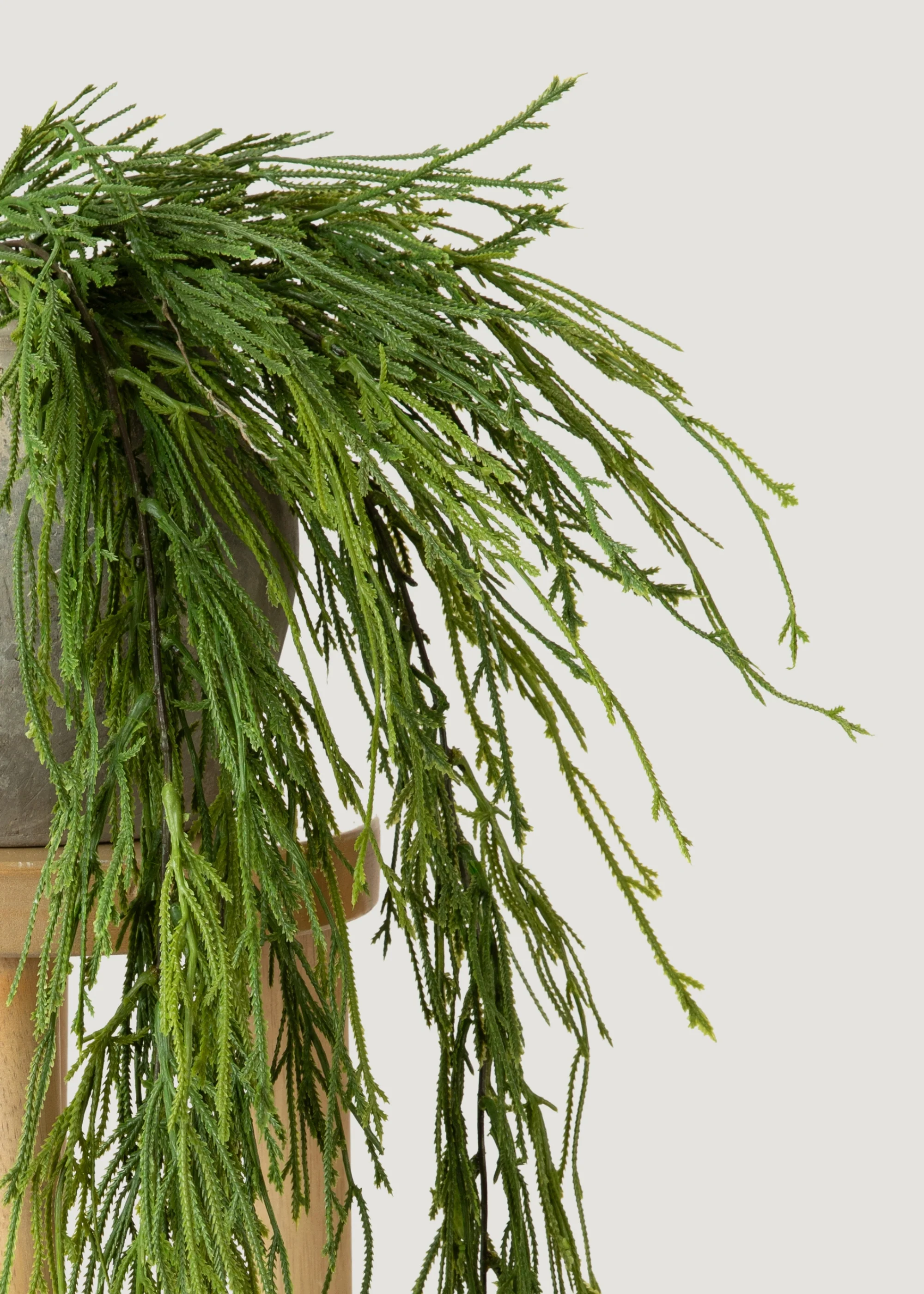 INDOOR_OUTDOOOR FAUIE PLAN MOSS MOSS FERN À partir de 100