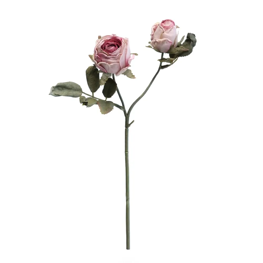 2 têtes de Vénus