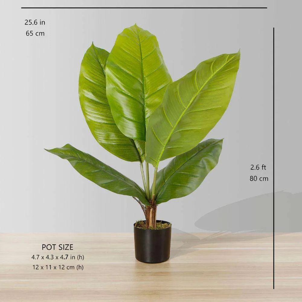 Plante en pot à feuilles spathiphiphyllum artificielles (plusieurs tailles)