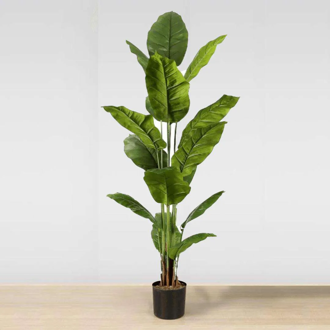 Plante en pot à feuilles spathiphiphyllum artificielles (plusieurs tailles)