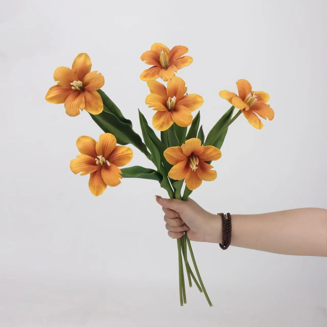 Brownie tulip