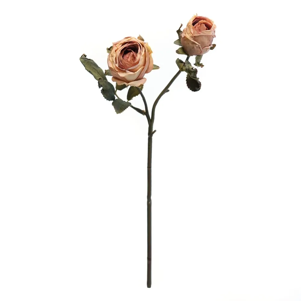 2 têtes de Vénus