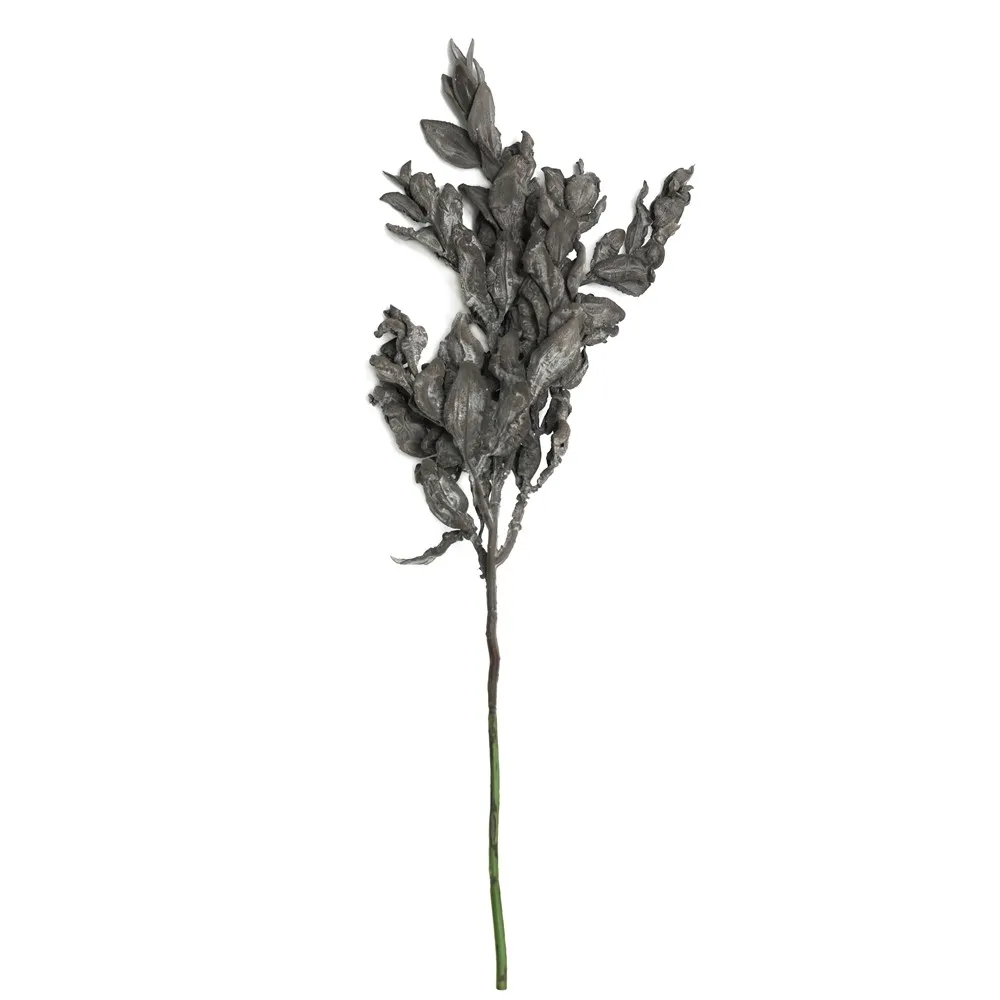 Feuille de yuanbao raccourci
