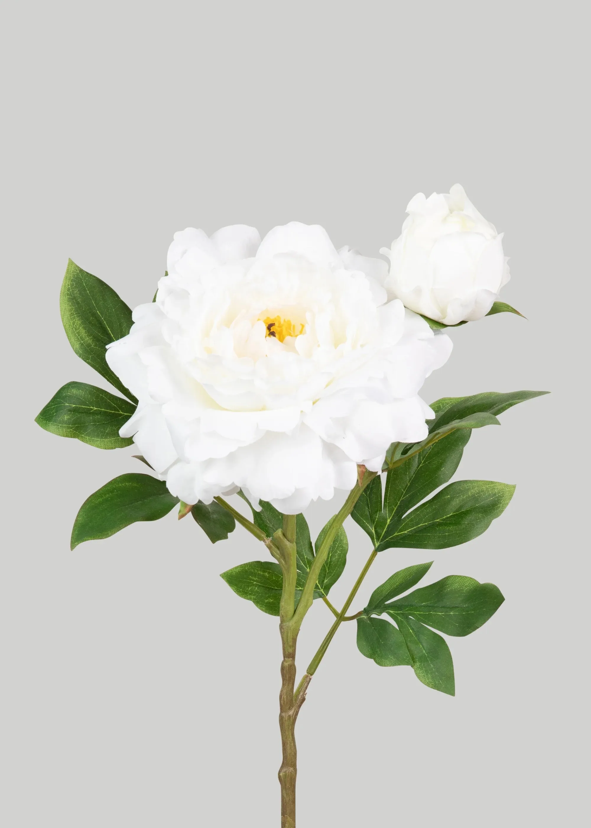 Fausse de luxe de la pivoine
