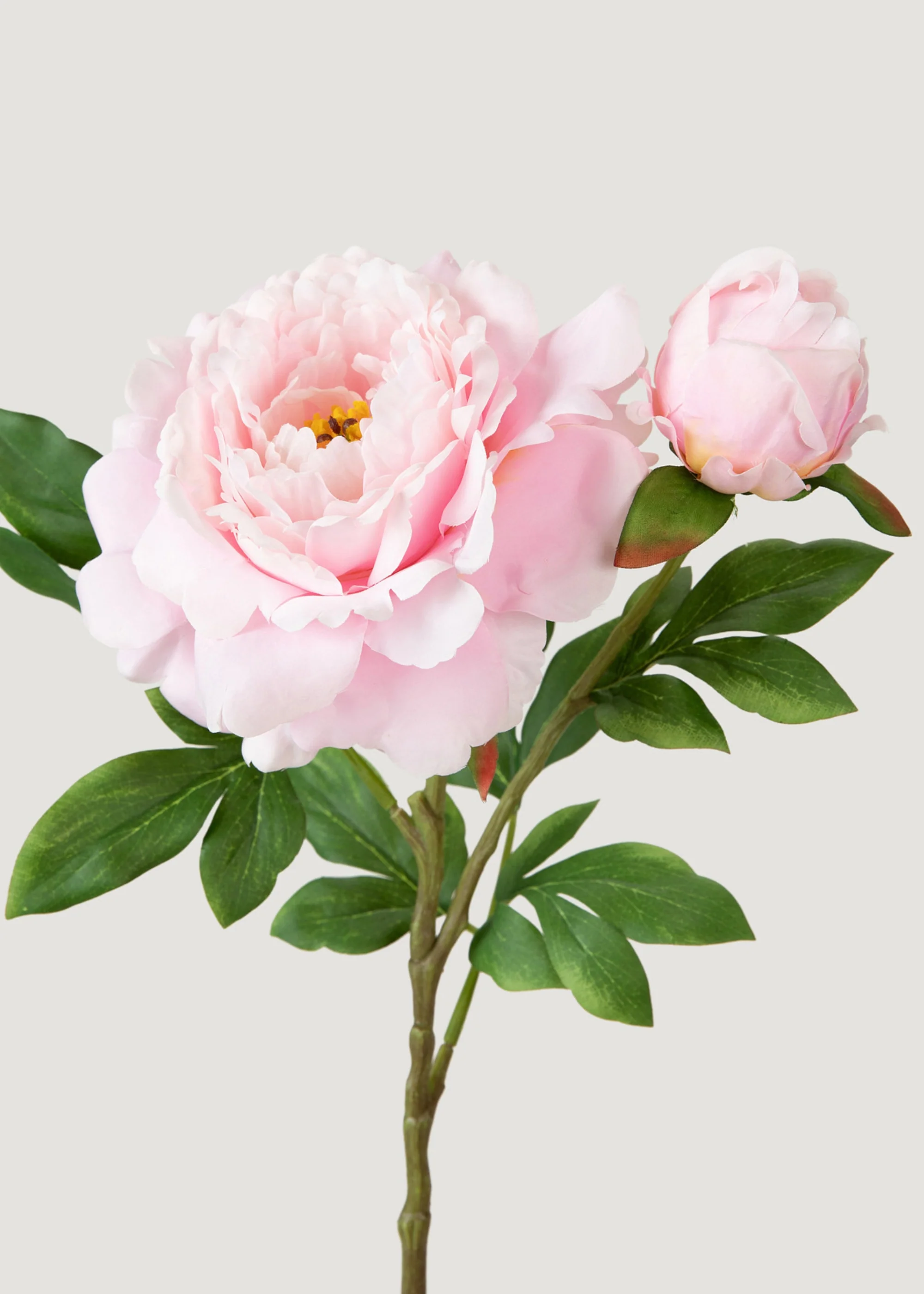 Fausse de luxe de la pivoine