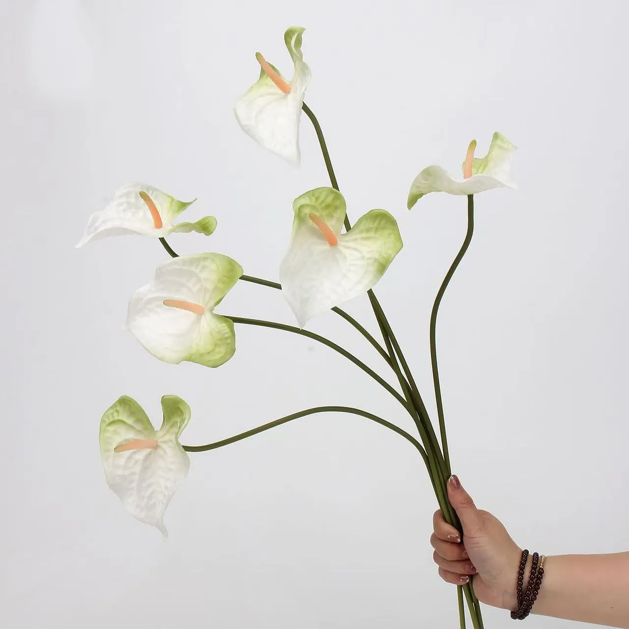anthurium paume