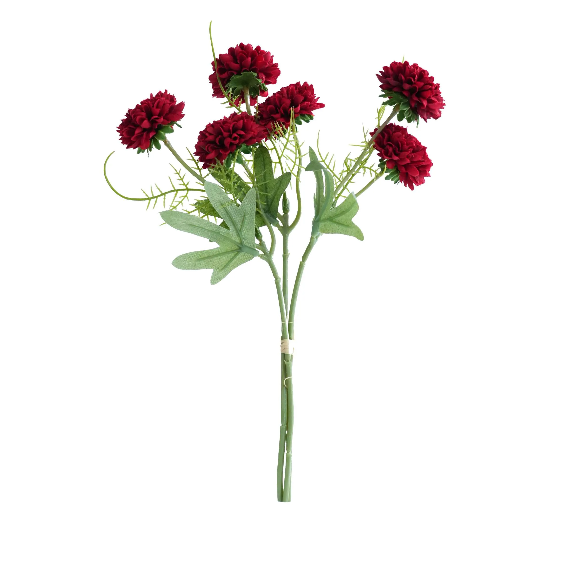 Un tas de chrysanthemums