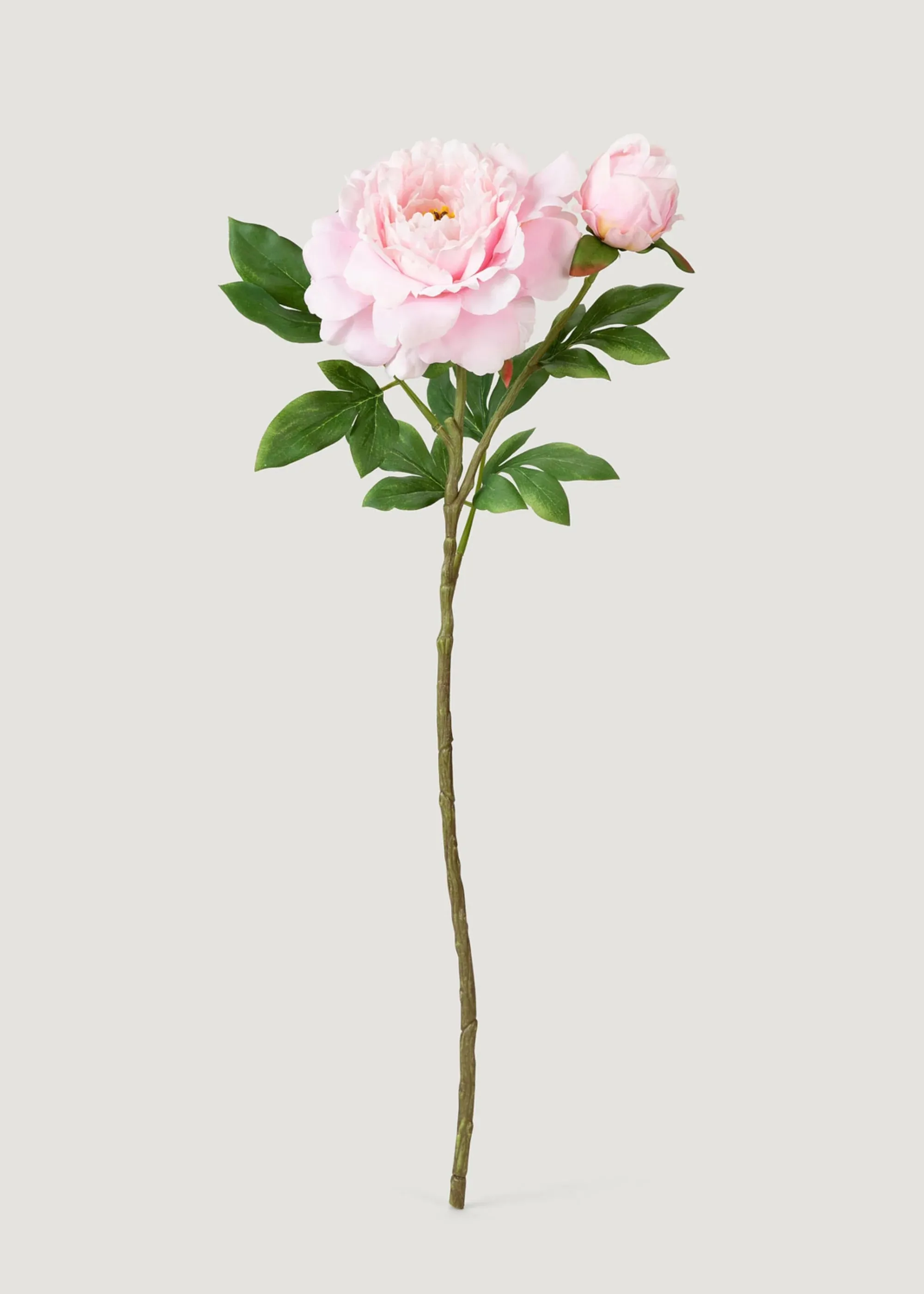Fausse de luxe de la pivoine