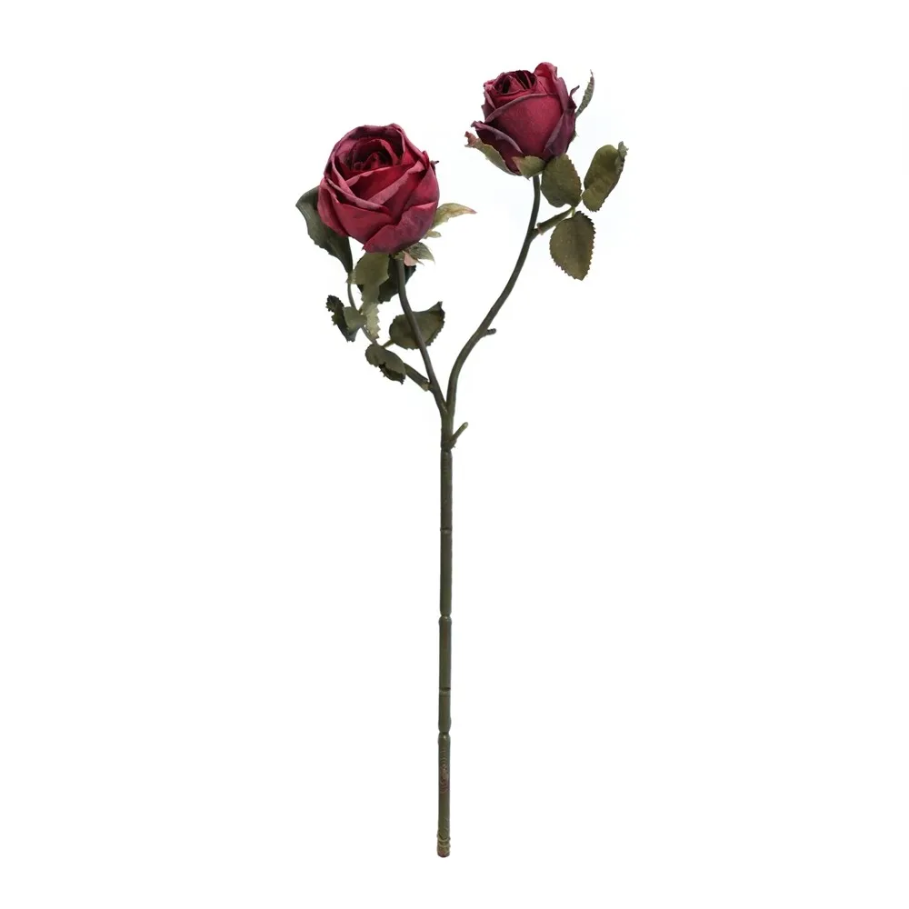 2 têtes de Vénus