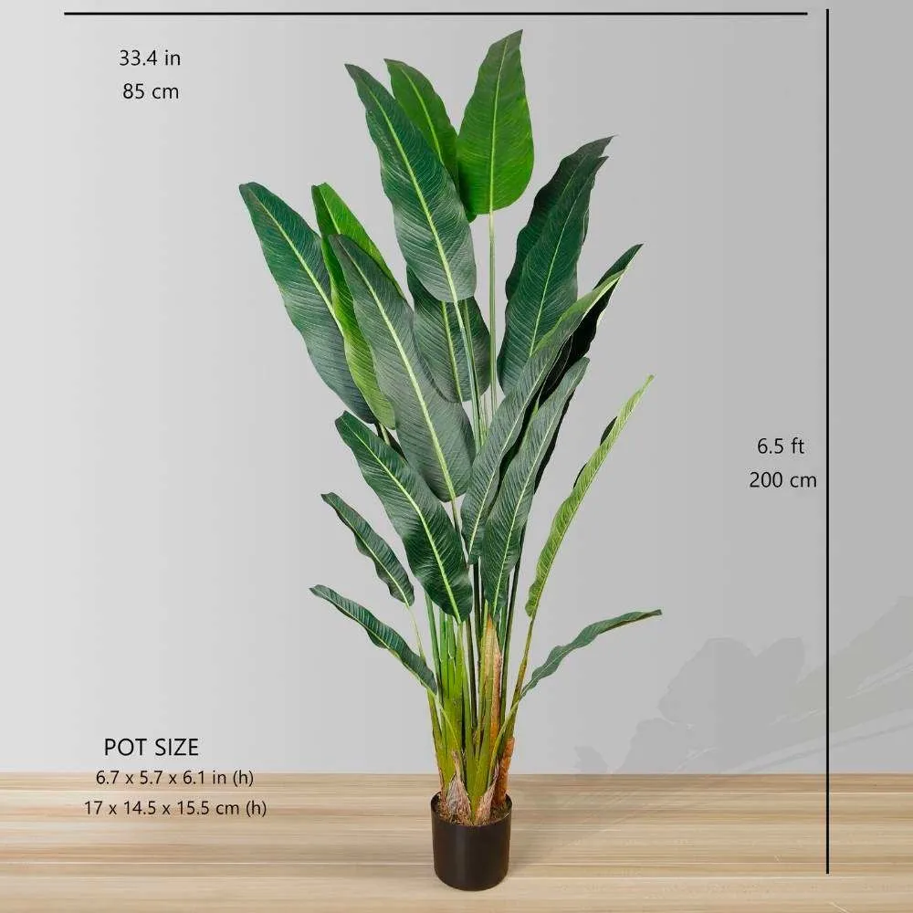 Plante en pot des voyageurs artificiels seniors