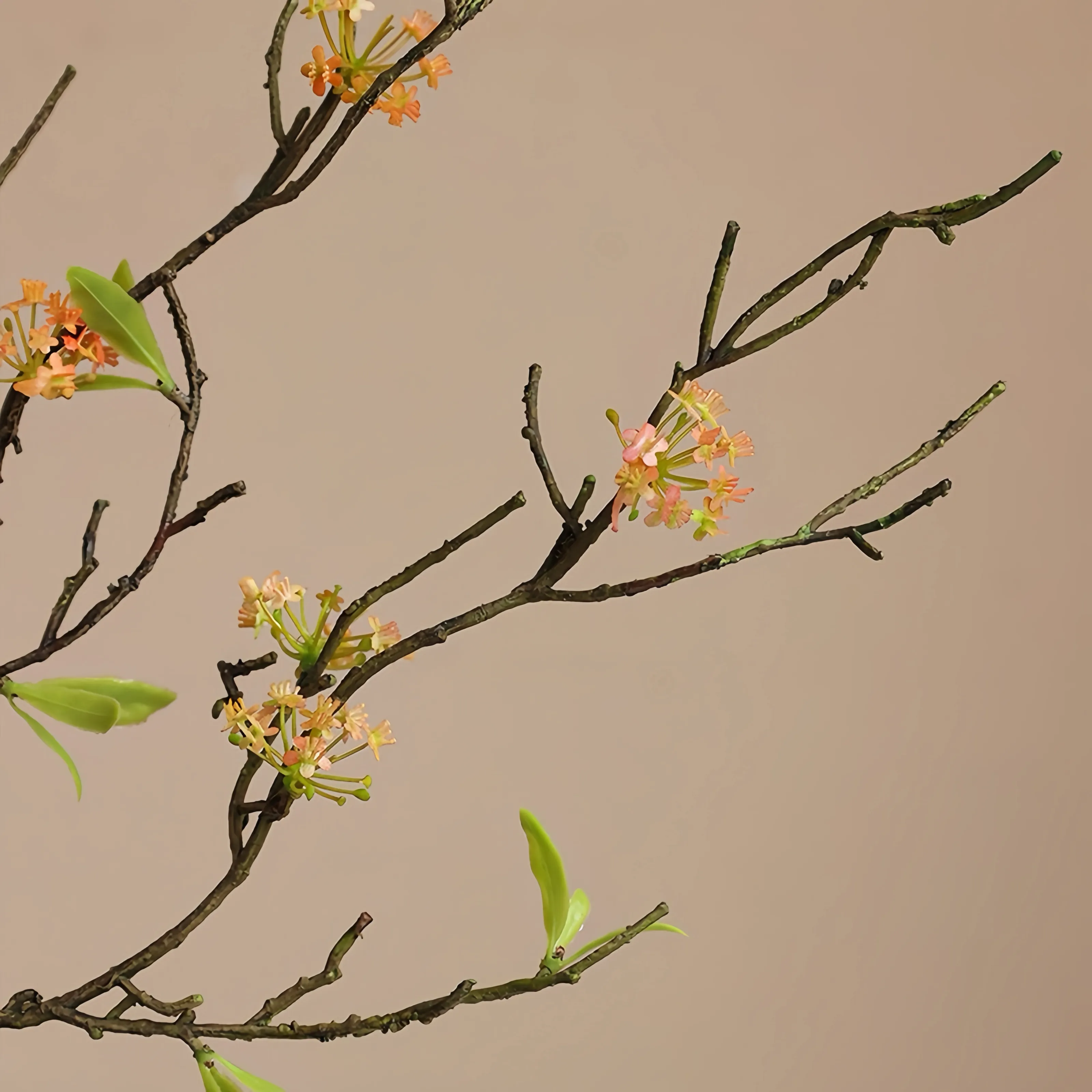 Branche de fleur de poire de poire de paille rétro