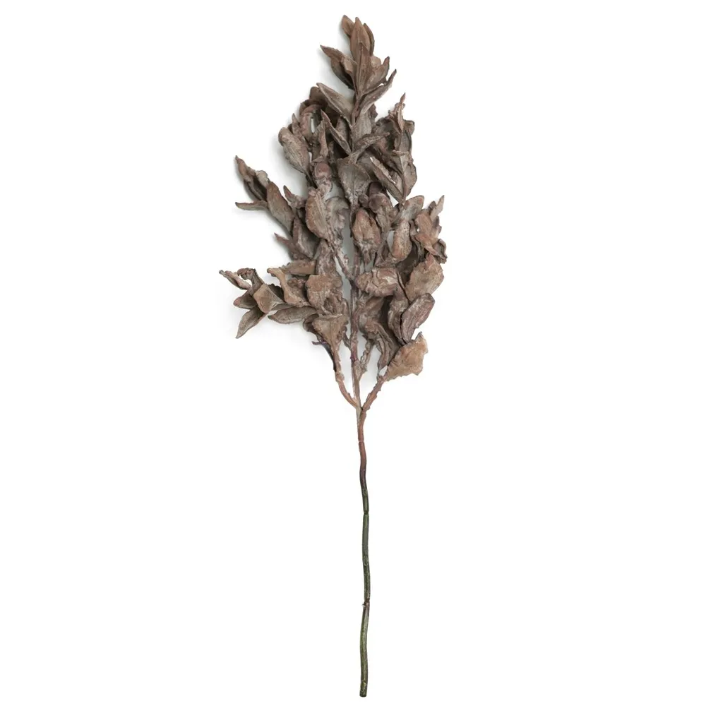 Feuille de yuanbao raccourci