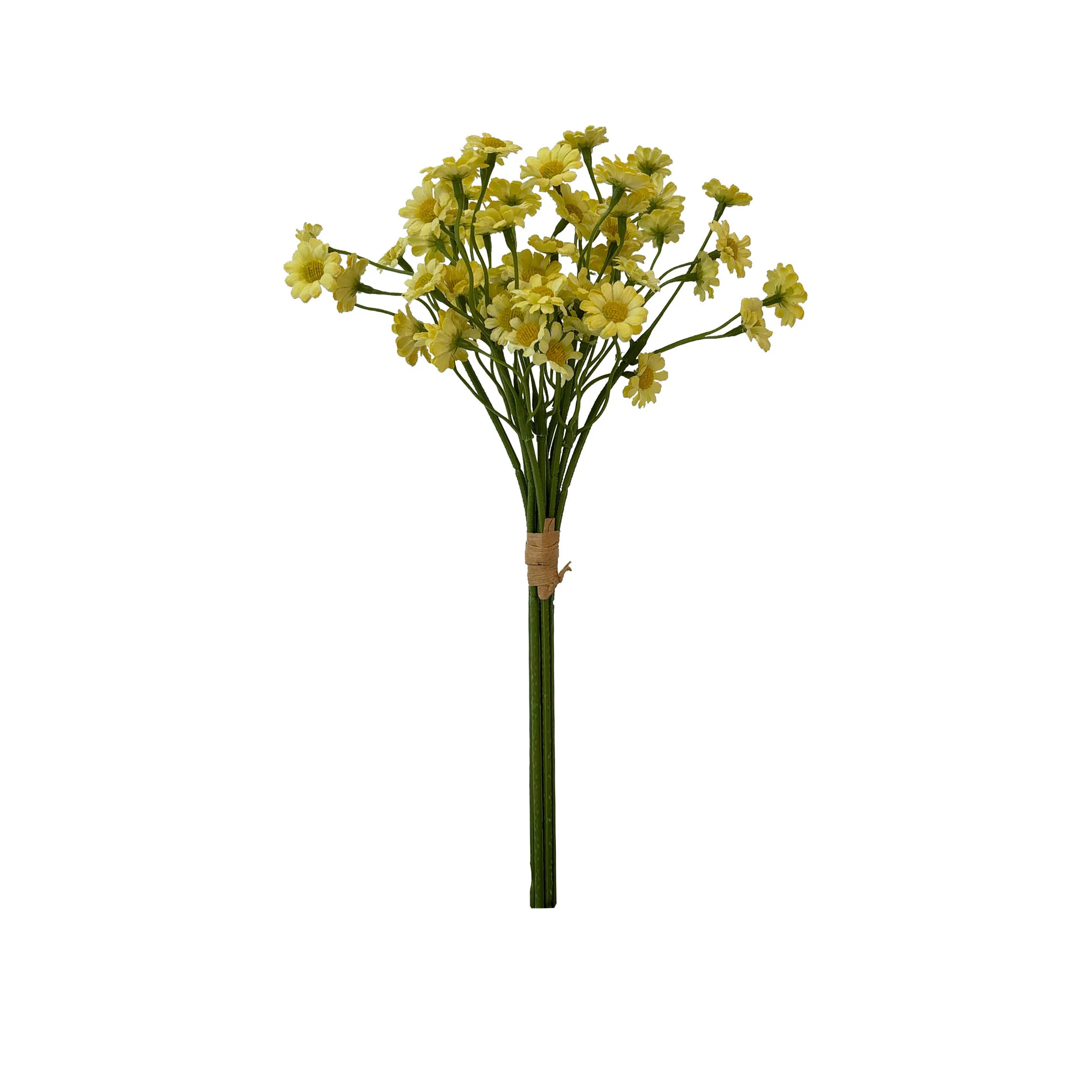 Prendre un tas de camomille