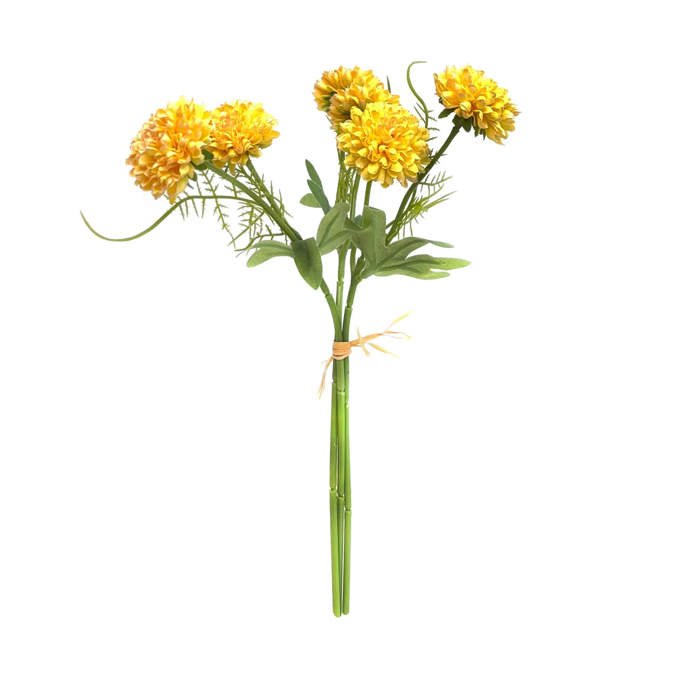 Un tas de chrysanthemums