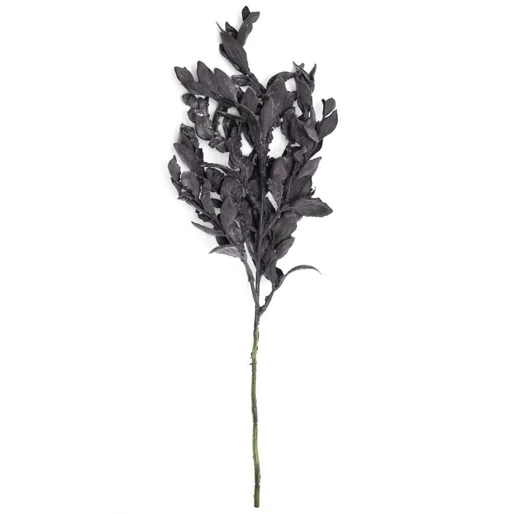 Feuille de yuanbao raccourci