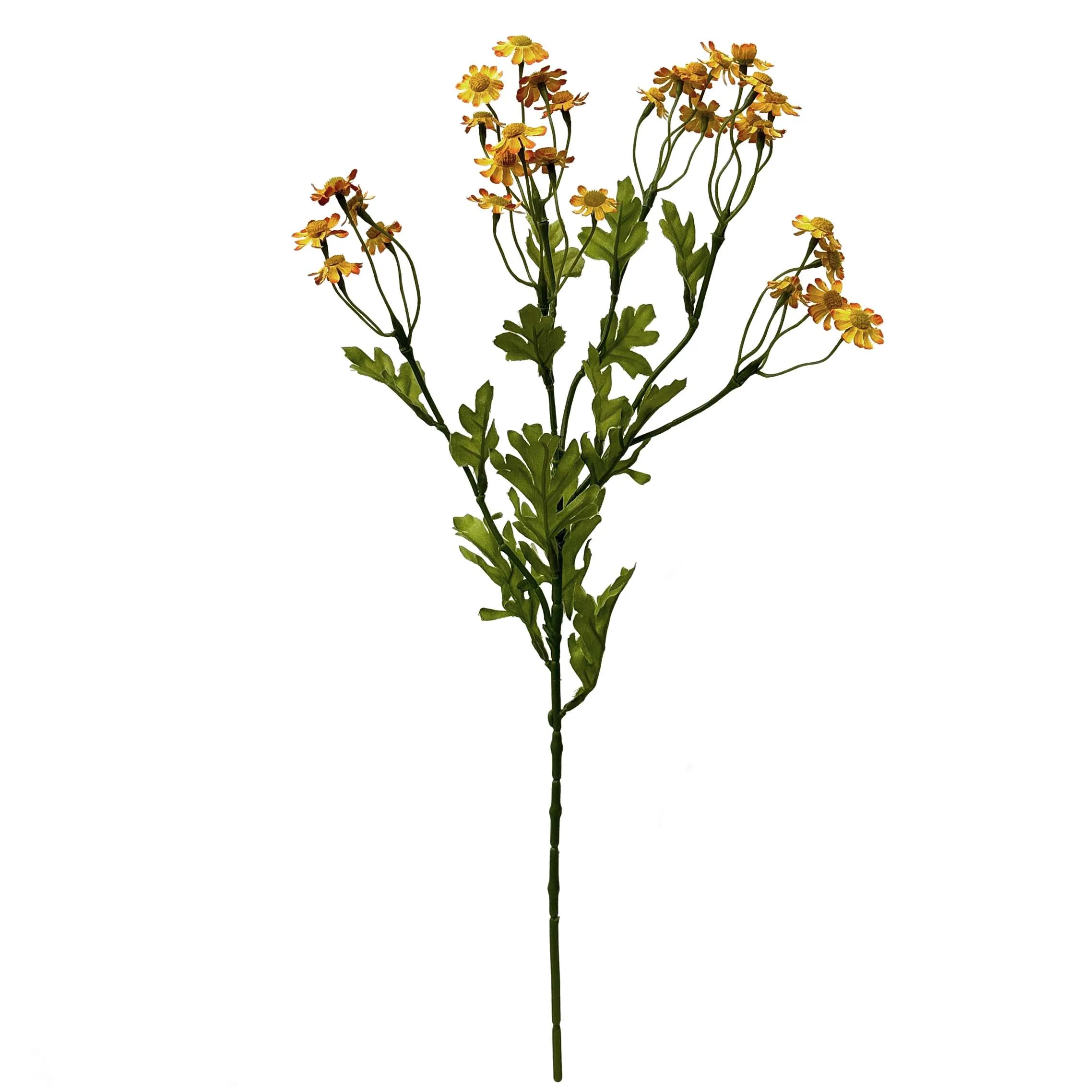 Une seule petite marguerite