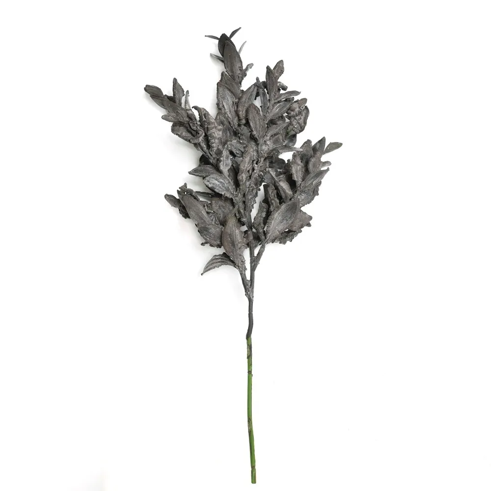 Feuille de yuanbao raccourci