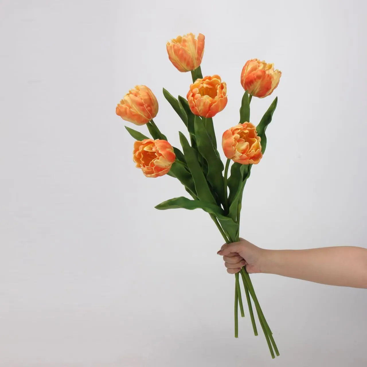 tulip rococo