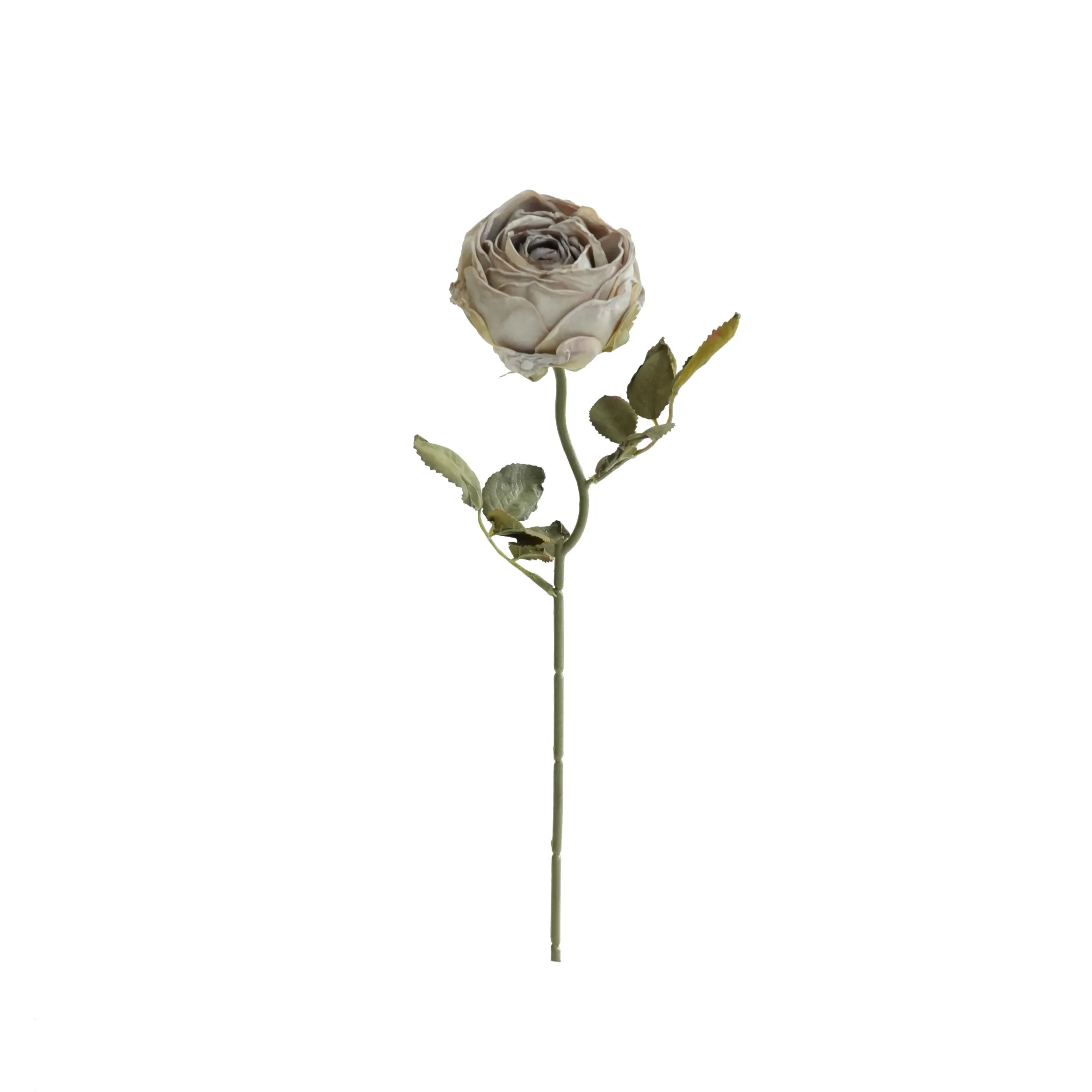 Roses rondes hachées