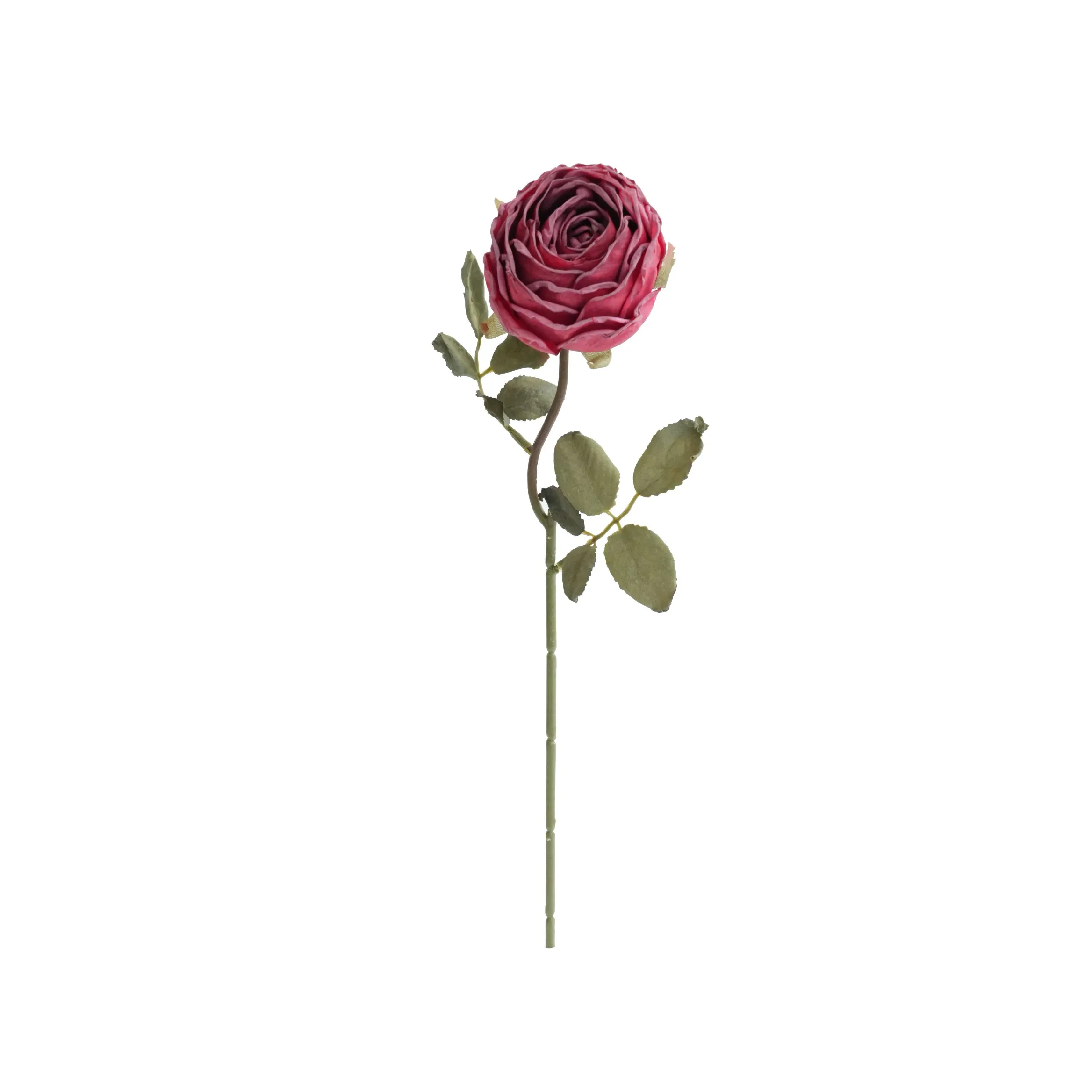 Roses rondes hachées