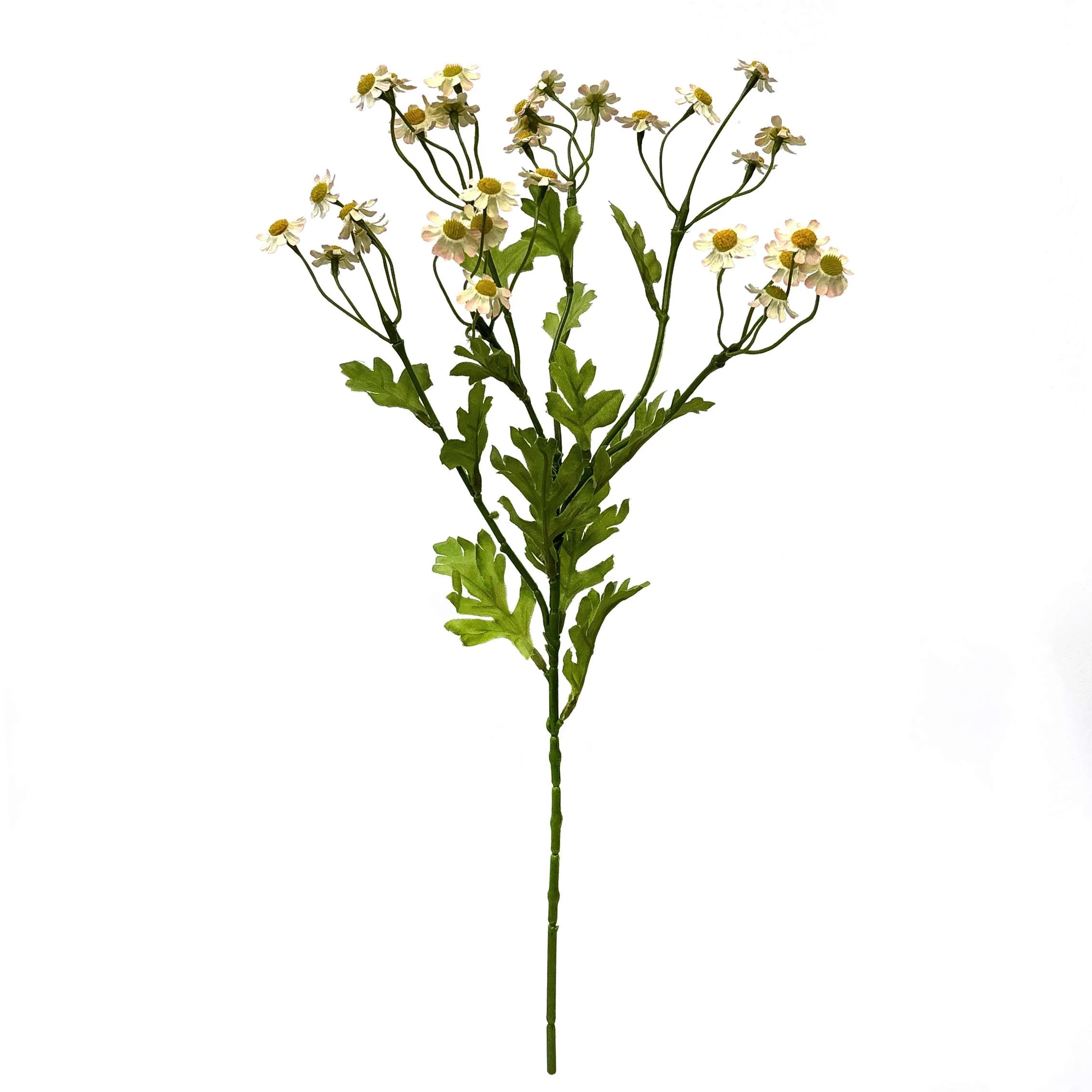 Une seule petite marguerite