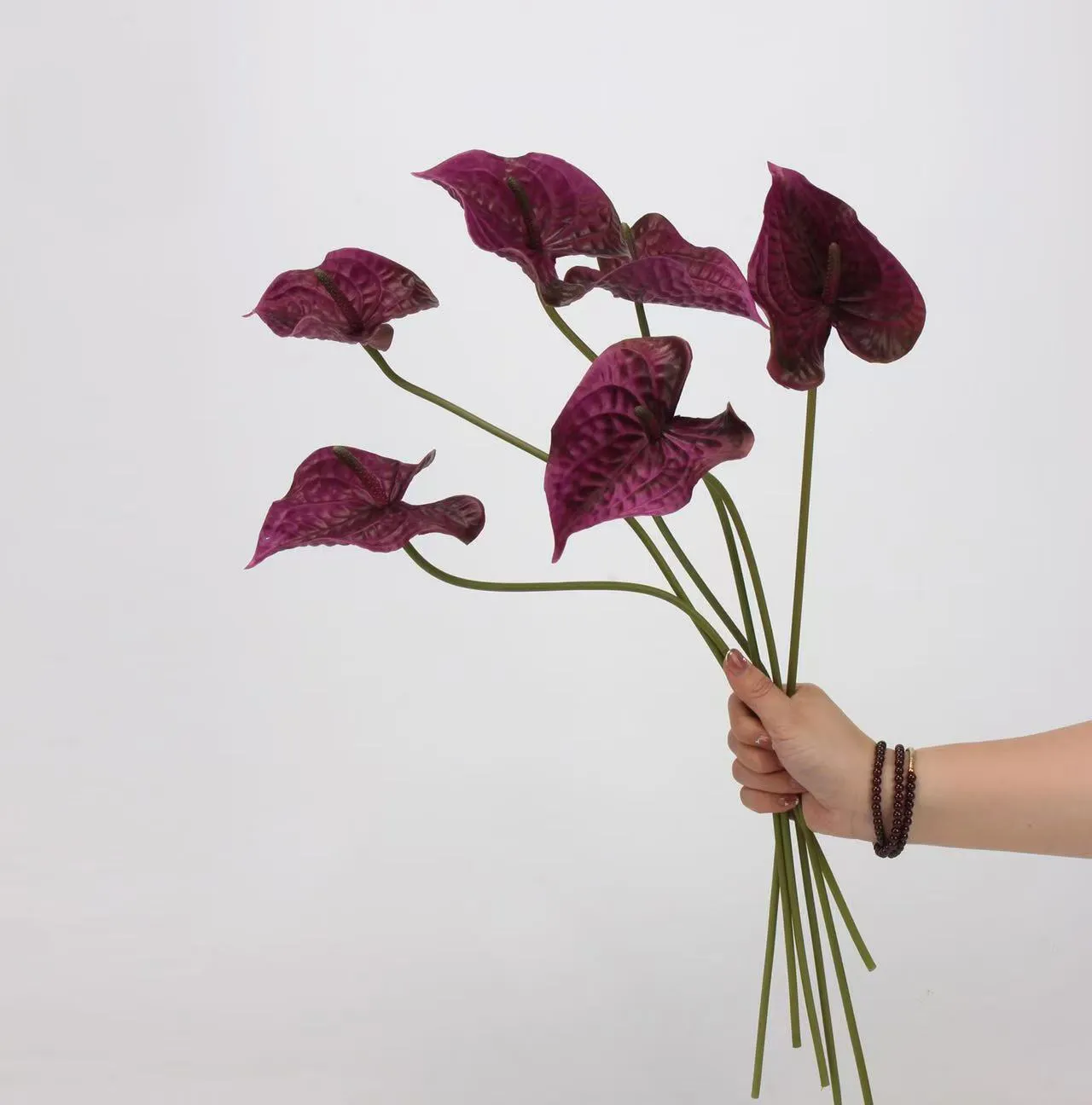 anthurium paume