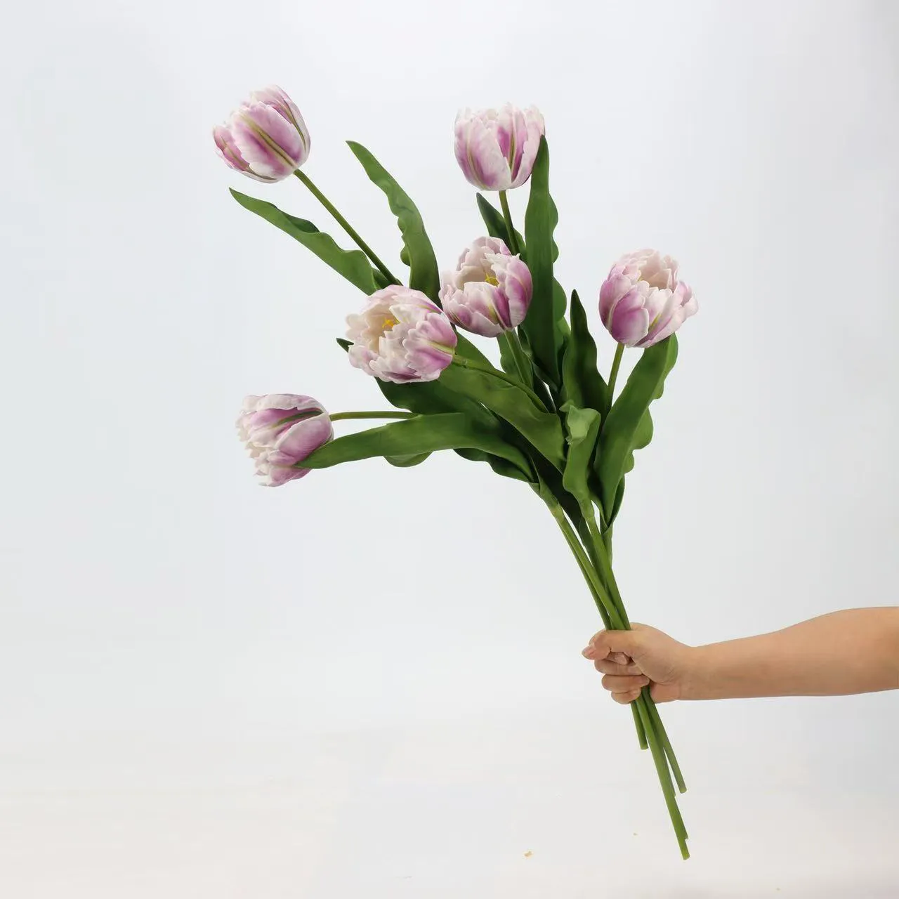 tulip rococo