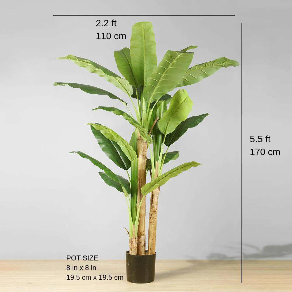 Anna Artificial Banana Tree Plante en pot