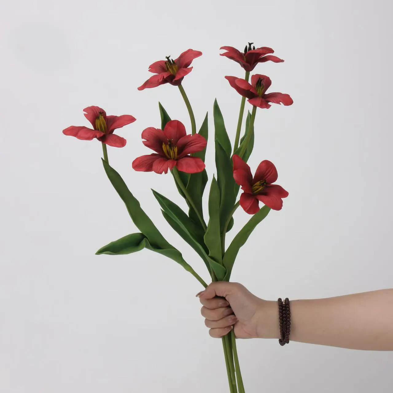 Brownie tulip