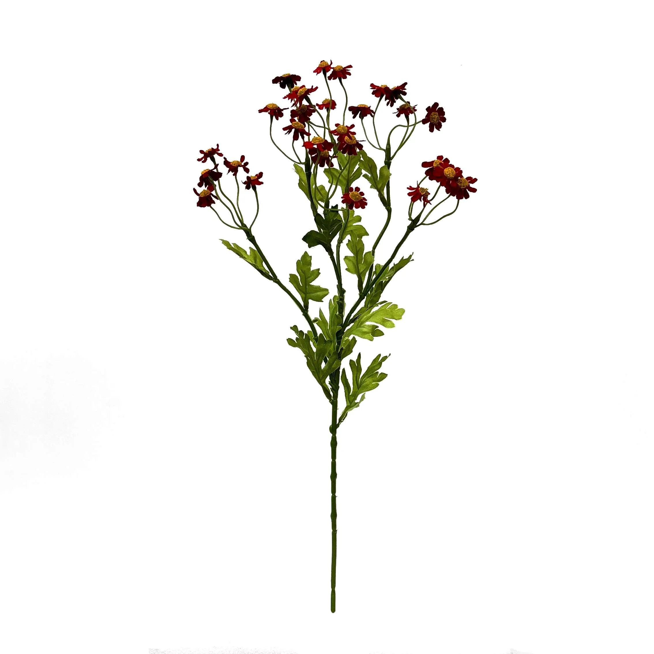 Une seule petite marguerite