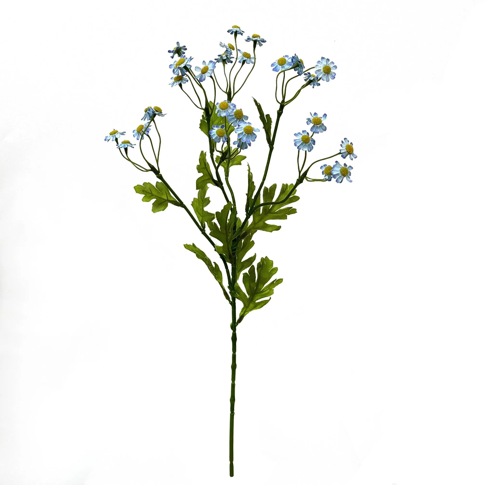 Une seule petite marguerite