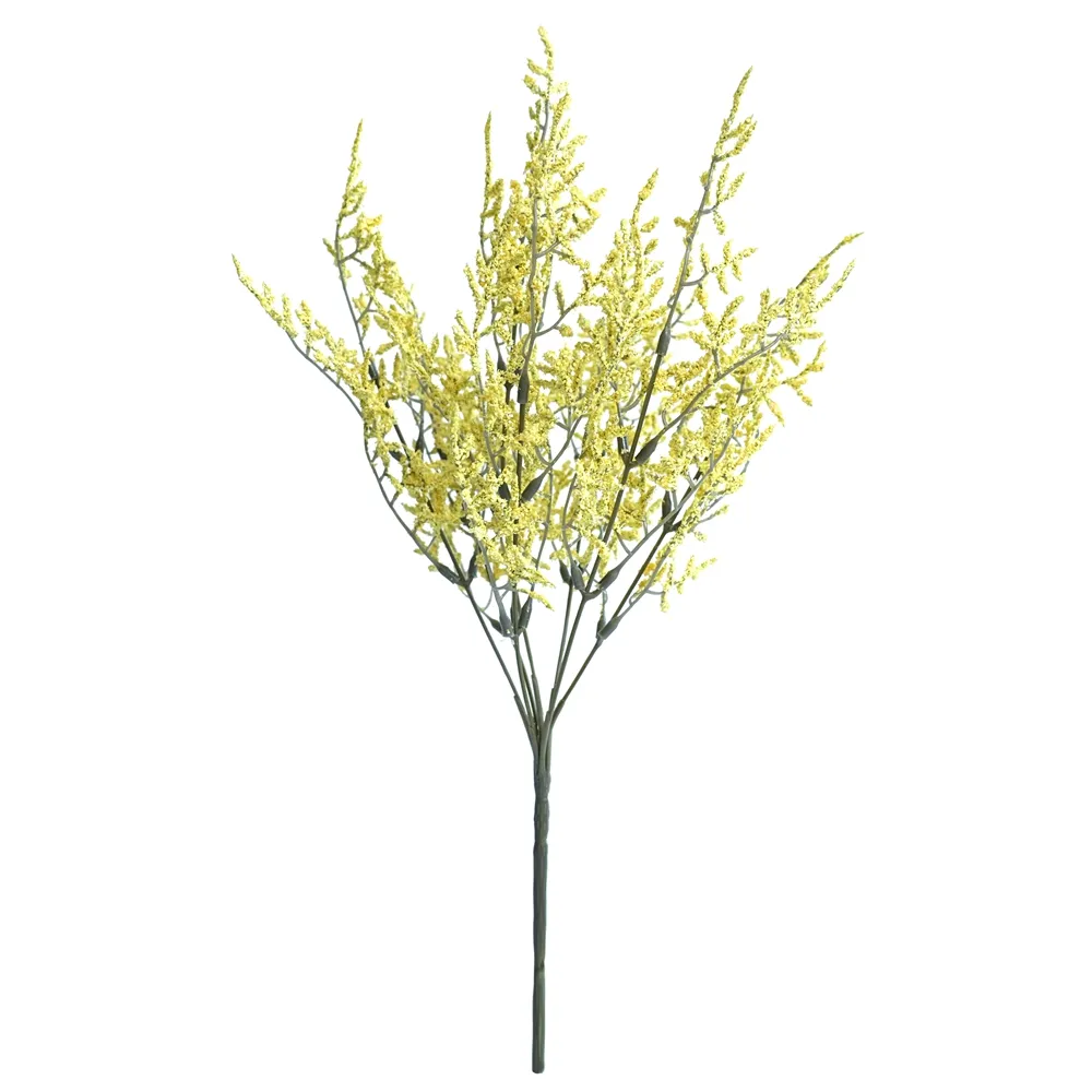 Mettez un paquet de feuilles d'amant dessus