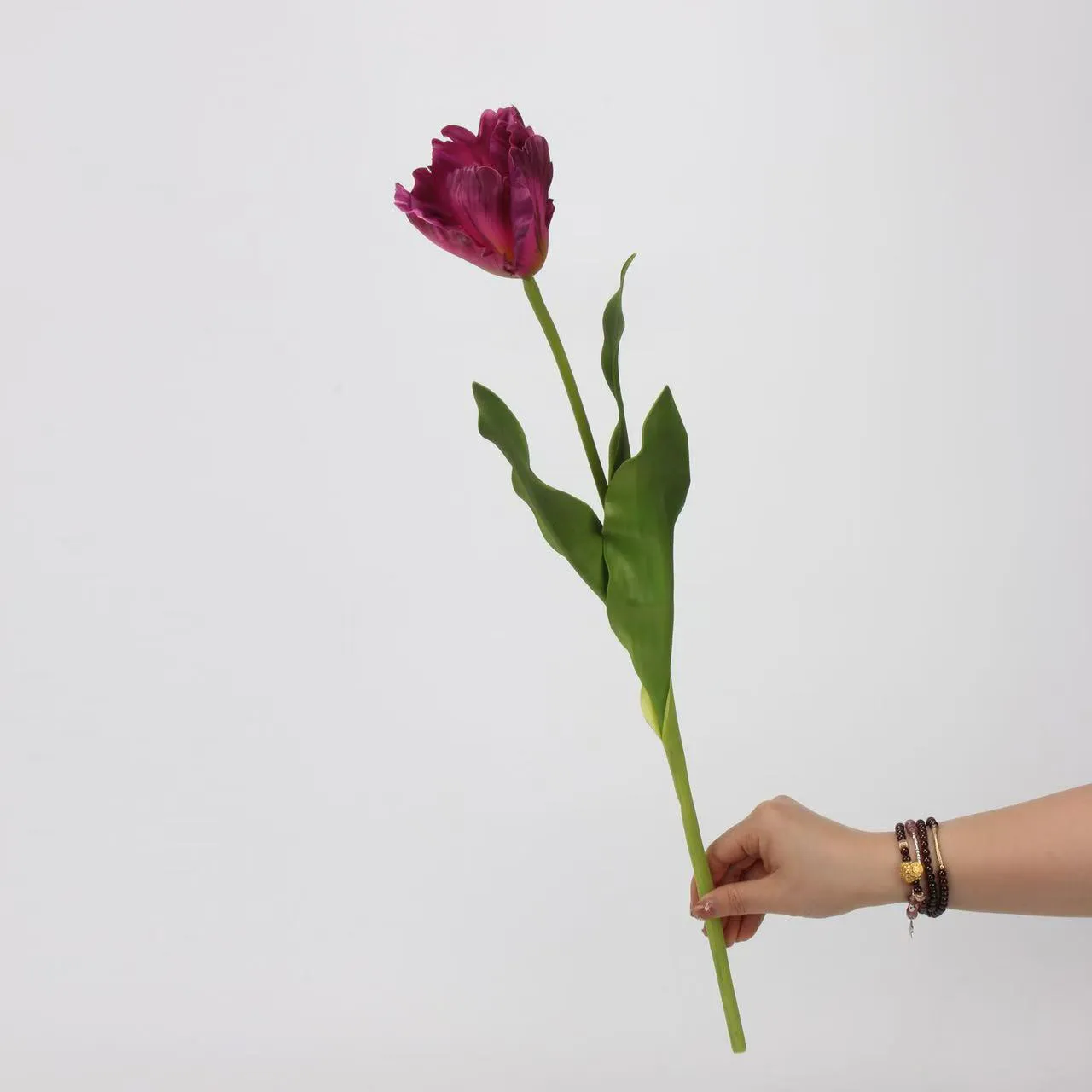 Monet tulip