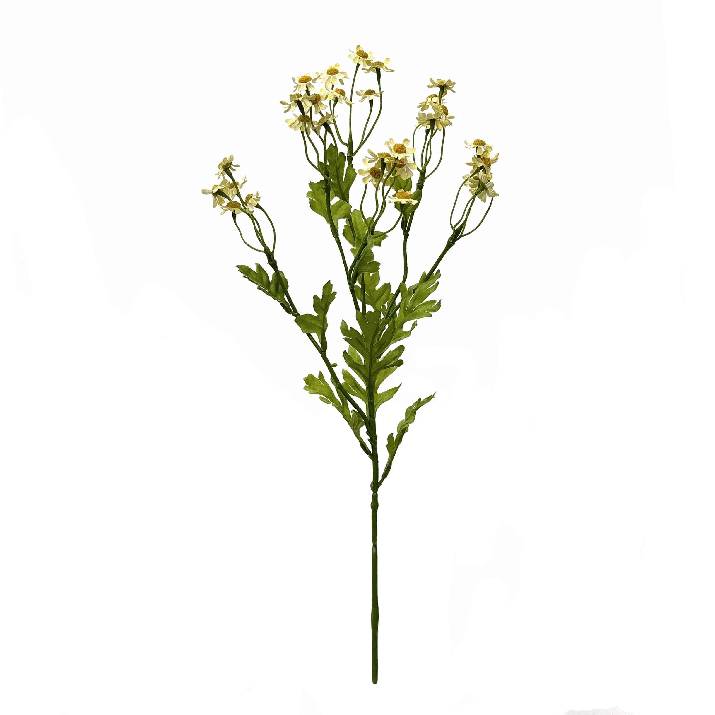 Une seule petite marguerite