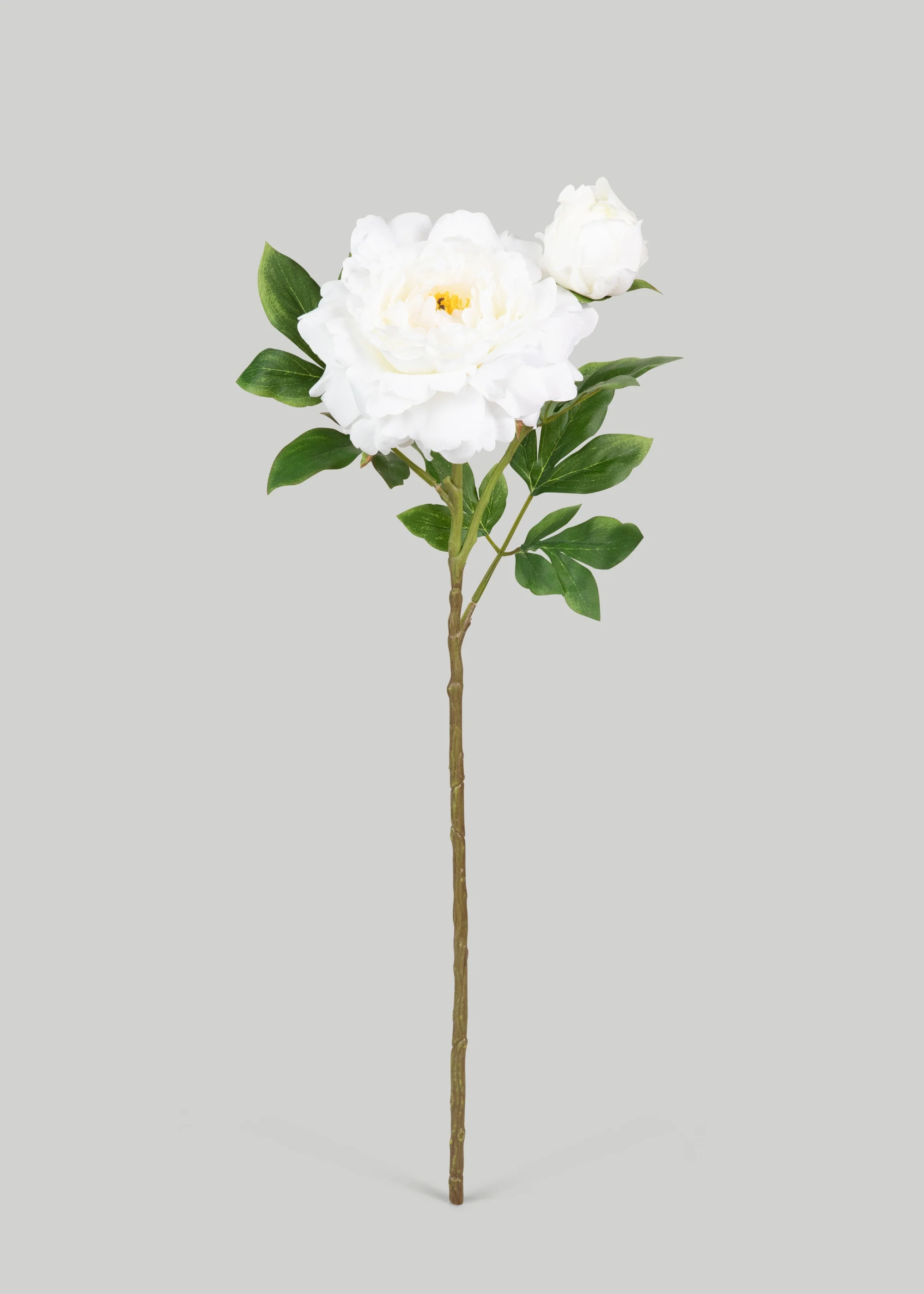 Fausse de luxe de la pivoine