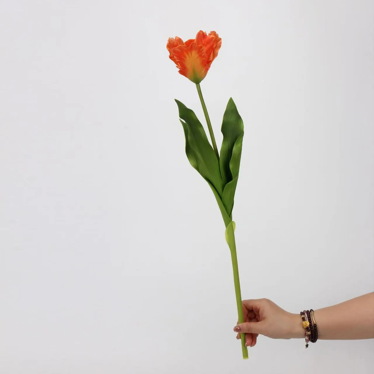 Monet tulip