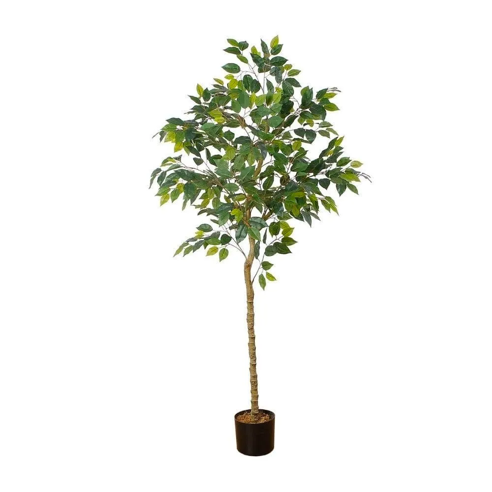 Plante en pot artificielle de Ficus (plusieurs tailles)